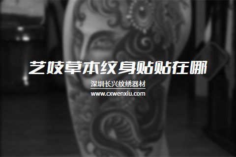 藝妓草(cǎo)本紋身貼貼在哪